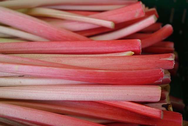 Näppärä raparperipiirakka helpolla ohjeella - testaa tätä